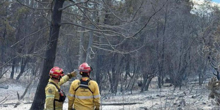 Incendios en el Sur: el fuego avanza ahora sobre Cholila y está fuera de control