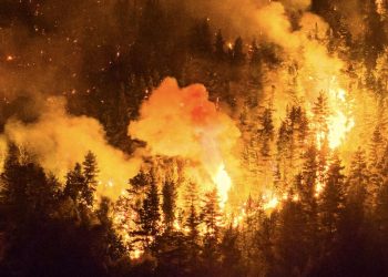 Incendios forestales: el Gobierno firma el DNU que declara la Emergencia Ígnea en la Patagonia