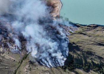 Incendios forestales: piden que se declare la Emergencia Ígnea y Ambiental en la Patagonia