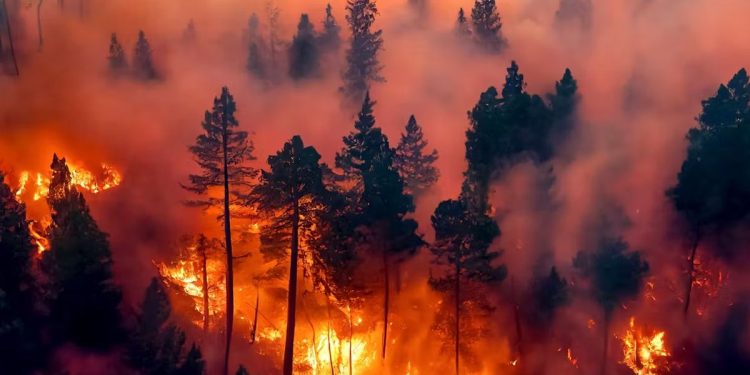 La motosierra de Javier Milei también alcanzó al Servicio Nacional de Manejo del Fuego