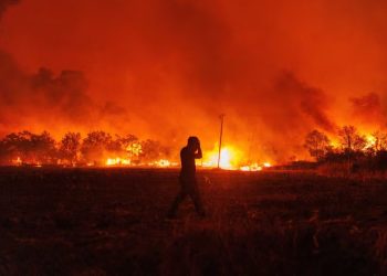 La policía chilena detuvo al principal sospechoso de los incendios forestales en el país que causaron 21 muertos