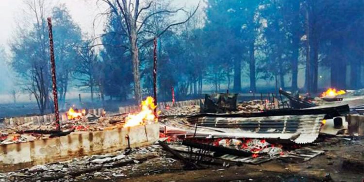 Proponen incorporar la figura del “ecocidio” al Código Penal argentino