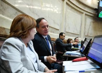 Provincias Unidas ingresa al Senado y busca sumar alianzas antes de la reforma laboral