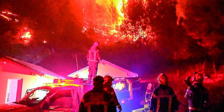 Sofía Nemenmann: “El gobierno nos condena a estar apagando incendios”