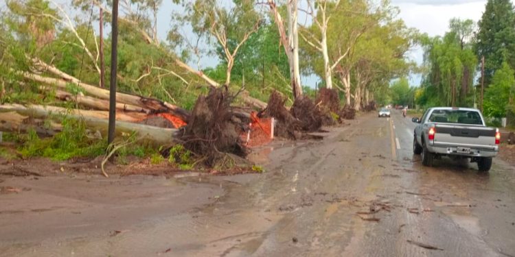 Temporal en Mendoza: miles de usuarios sin luz y rescates por la crecida de un dique