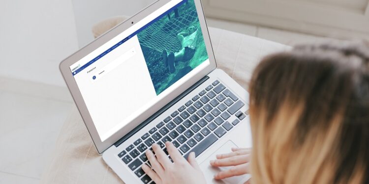 NBCH: servicios digitales habilitados