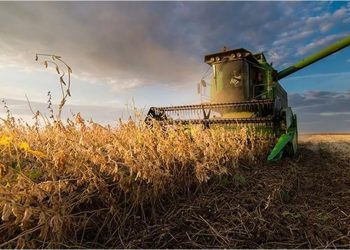 Cámaras agroexportadoras celebraron la media sanción de la reforma Laboral