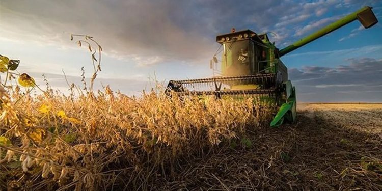 Cámaras agroexportadoras celebraron la media sanción de la reforma Laboral