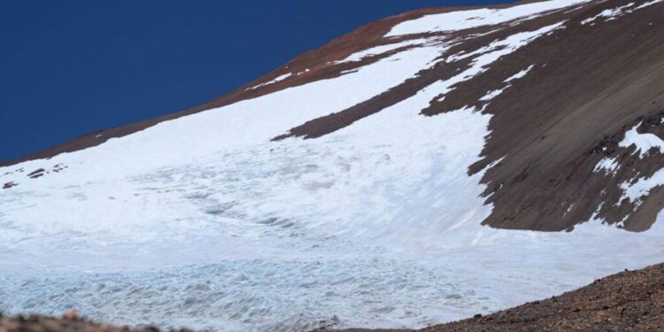 Ley de Glaciares, las consecuencias del día después y el ejemplo de los visones depredadores liberados en la Patagonia