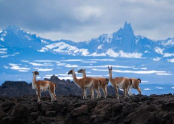 Los ambientes periglaciares y una protección que en lugar de achicarse debería ampliarse