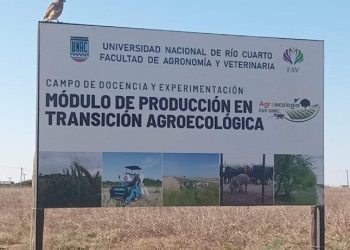“Mapa de la Agricultura Libre de Agroquímicos”: la geografía menos conocida y más fértil del sur cordobés