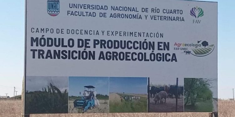 “Mapa de la Agricultura Libre de Agroquímicos”: la geografía menos conocida y más fértil del sur cordobés
