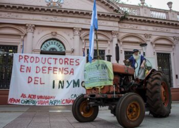 Misiones: productores de yerba reclaman mejoras en el precio y resolvieron parar la cosecha 