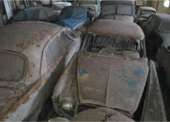 Asombroso hallazgo en Portugal: encontraron una impactante colección de autos clásicos abandonados
