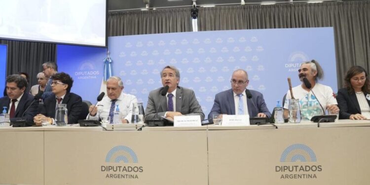 Comienzan las audiencias por la reforma de la Ley de Glaciares con una marcha frente al Congreso