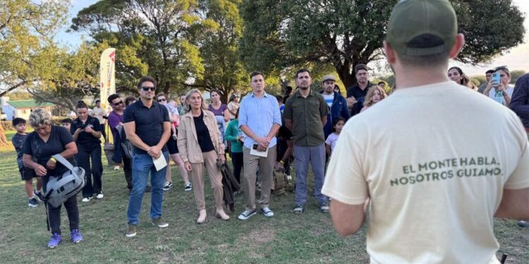 El Camino de la Vitamina C, una ruta para enamorarse del kiwi