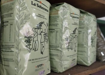 La Soberana: una nueva yerba mate agroecológica desembarca en el mercado