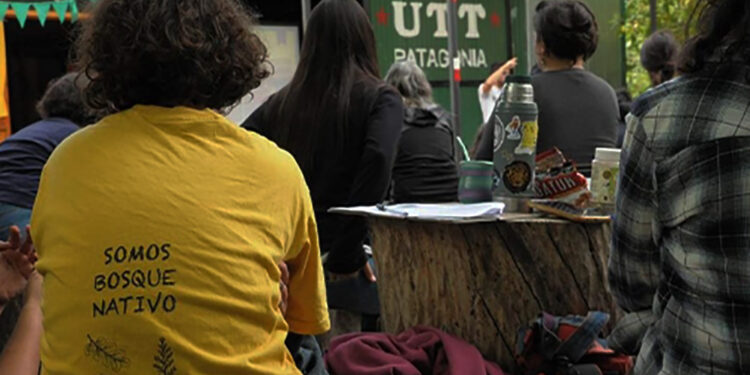 La UTT desarrolló el primer curso de Restaurador Forestal, luego de los incendios en la Comarca Andina