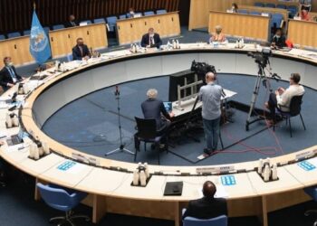 Por qué Argentina dejó la Organización Mundial de la Salud