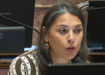 Tras la polémica por la ley Bases, el Gobierno envió el pliego de Lucila Crexell como embajadora en Canadá