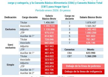 Una crisis evitable: el presupuesto para las universidades cayó un 45 por ciento desde 2023