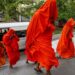 Detuvieron a 22 monjes budistas en Sri Lanka con más de 110 kilos de droga