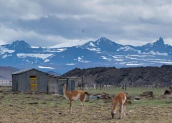 Glaciares: se está construyendo la demanda colectiva más grande de la historia