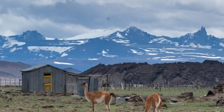 Glaciares: se está construyendo la demanda colectiva más grande de la historia