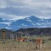Glaciares: se está construyendo la demanda colectiva más grande de la historia