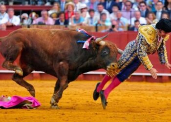 Grave cornada en Sevilla: un famoso torero español debió ser intervenido de urgencia