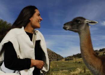 Guanaco, una oferta alimentaria que gana terreno por historia, variedad y precio