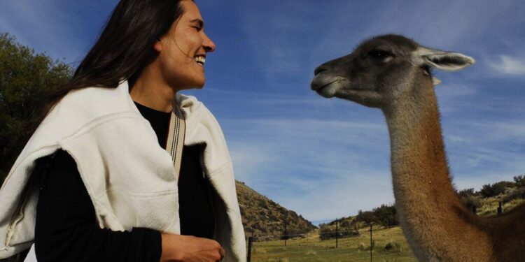 Guanaco, una oferta alimentaria que gana terreno por historia, variedad y precio