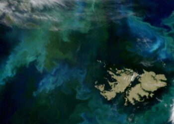 Malvinas: Cancillería respaldó a Bolivia tras un cruce con el embajador británico y volvió a reclamar negociaciones