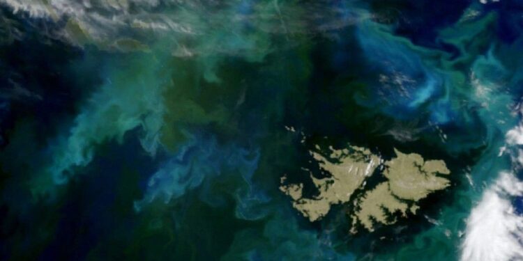 Malvinas: Cancillería respaldó a Bolivia tras un cruce con el embajador británico y volvió a reclamar negociaciones