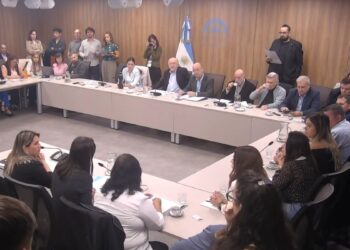 Morosidad: Diputados avanza con proyectos para refinanciar deudas familiares