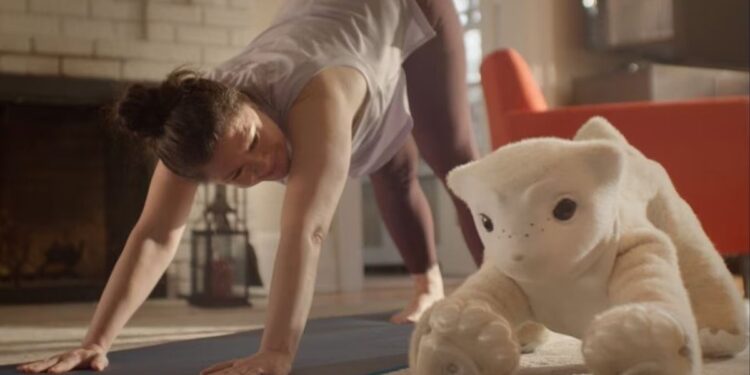 El creador de una de las primeras aspiradoras robot busca sacudir el mercado con una mascota que funciona con IA