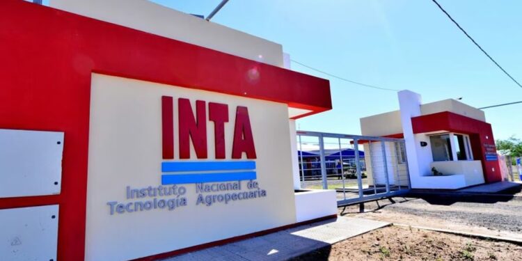 El gobierno de Javier Milei activa un retiro voluntario en el INTA para reducir personal