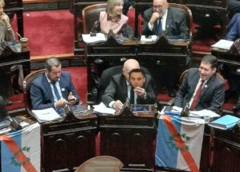 Entre máscaras, maniobras y pases de factura: todas las perlitas de la sesión en Diputados