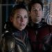 La actriz Evangeline Lilly criticó duramente a Disney por los despidos en Marvel: “¡Qué vergüenza!”