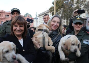 La apurada de Bullrich a Adorni fastidia a Karina y obliga a Milei a mediar entre ellas