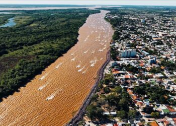 La Fiesta Nacional del Surubí fue un reflejo de la depredación del Paraná