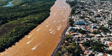 La Fiesta Nacional del Surubí fue un reflejo de la depredación del Paraná