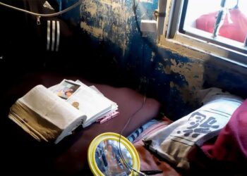 Plata o mierda: el film que muestra cómo un celular puede vencer el encierro