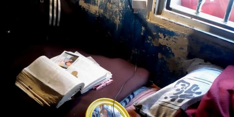 Plata o mierda: el film que muestra cómo un celular puede vencer el encierro