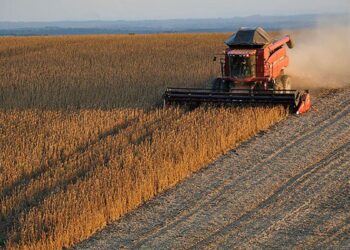Presentaron un proyecto de retenciones cero para los sectores agropecuario y agroindustrial