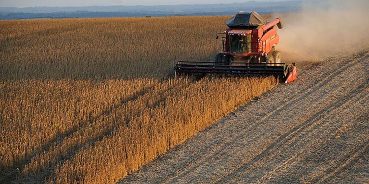 Presentaron un proyecto de retenciones cero para los sectores agropecuario y agroindustrial