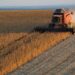 Presentaron un proyecto de retenciones cero para los sectores agropecuario y agroindustrial