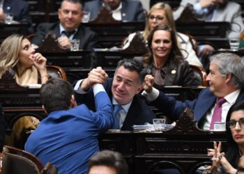 Sesión redonda para el Gobierno en Diputados: acotó el alcance del régimen de zona fría después de aprobar la ley Hojarasca