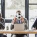 SportBiz: novedades de la industria del deporte desde una perspectiva de negocios