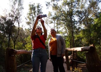 Un oasis en Moreno para disfrutar en familia con bosques, lagos, glamping y gastronomía